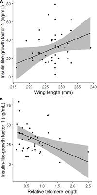 Does IGF-1 Shape Life-History Trade-Offs? Opposite Associations of IGF-1 With Telomere Length and Body Size in a Free-Living Bird